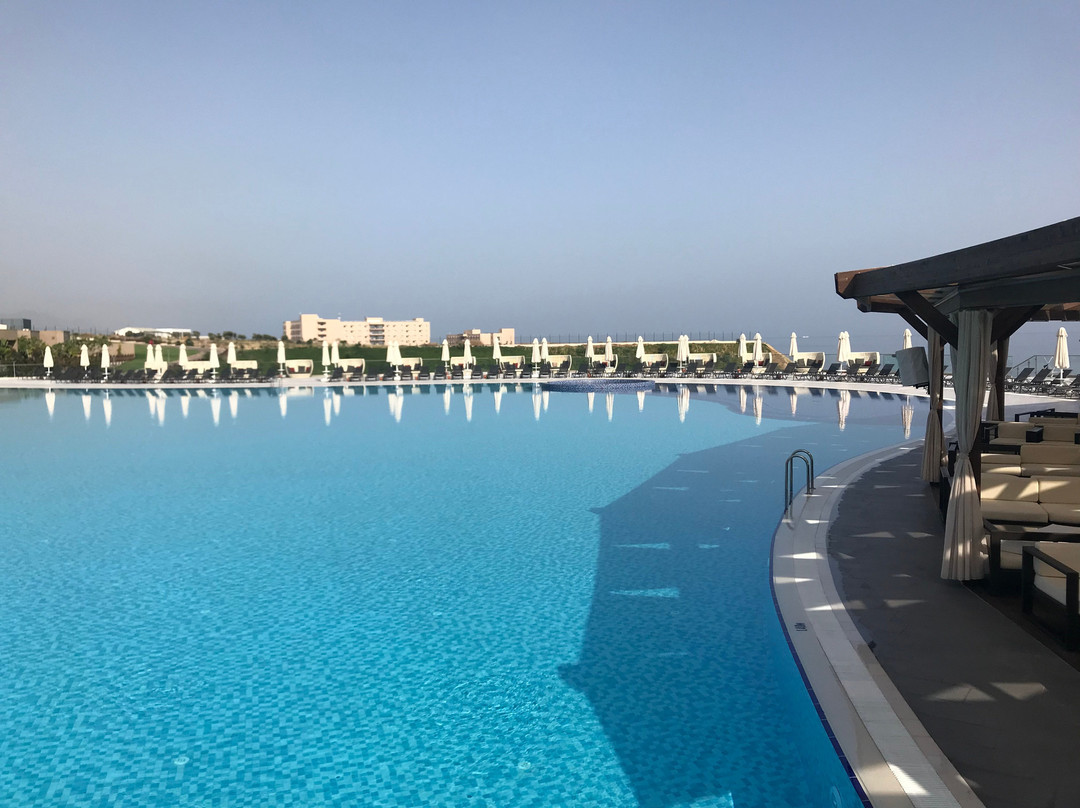 Elexus Hotel & Resort & Spa主图