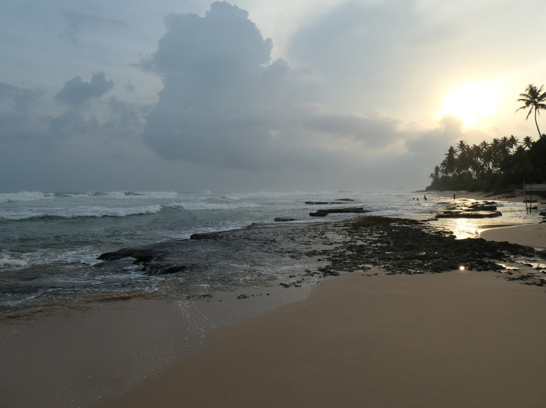 Barberyn Beach Ayurveda Resort主图