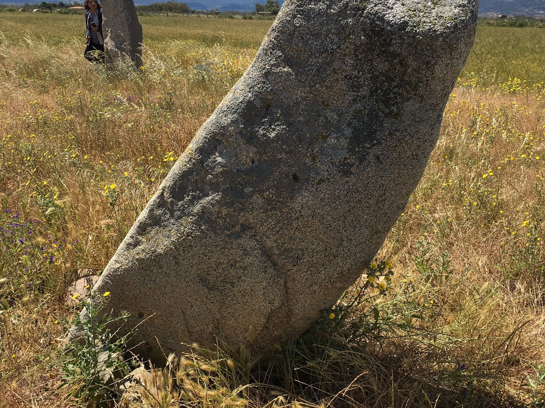 Archeologico di Perdas Longas-Guspini必去景点