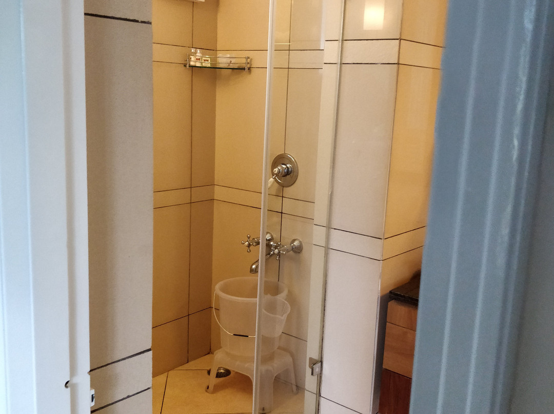 Lamrin Norwood Green Palampur主图