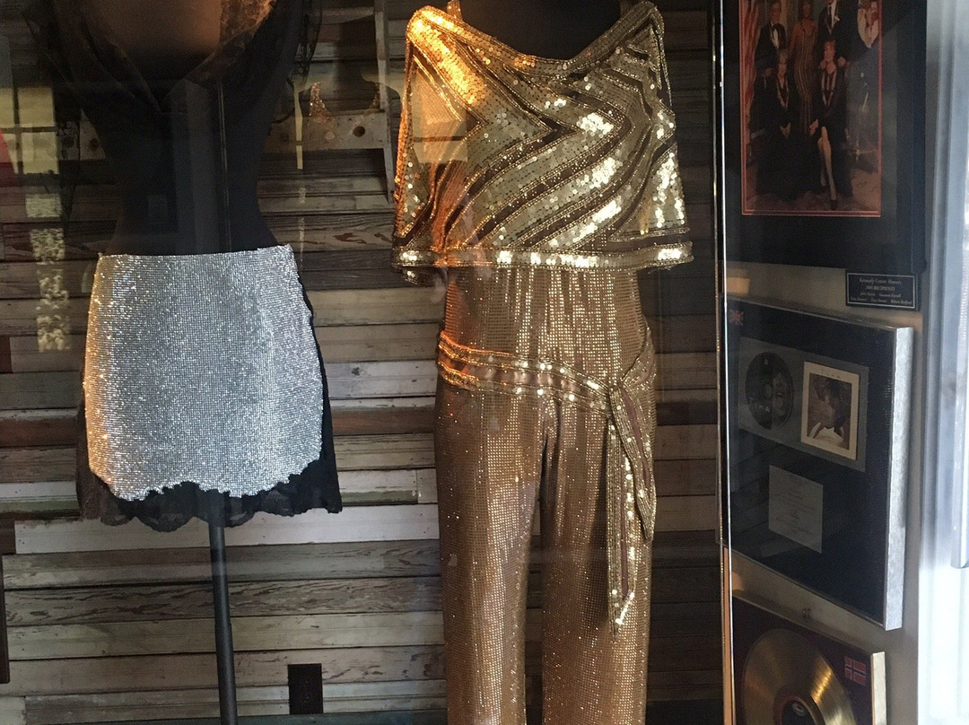 Tina Turner Museum  @ Flagg Grove School-Brownsville必去景点