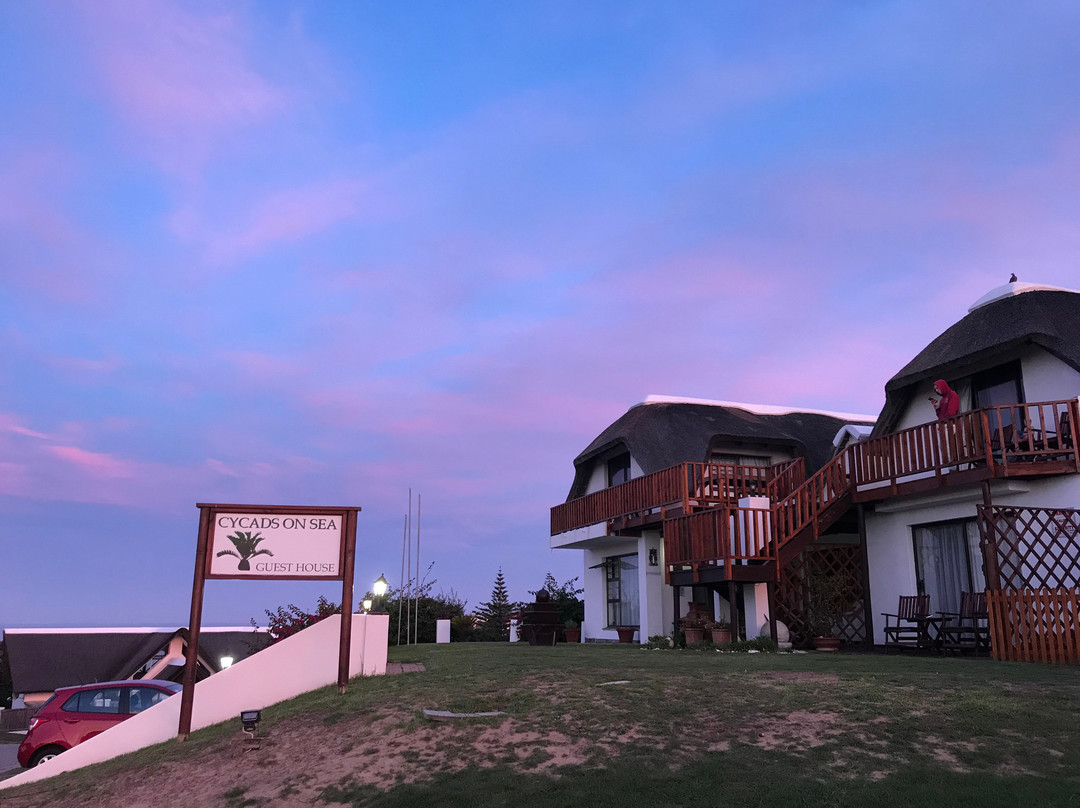 Cycads on Sea Guest House主图