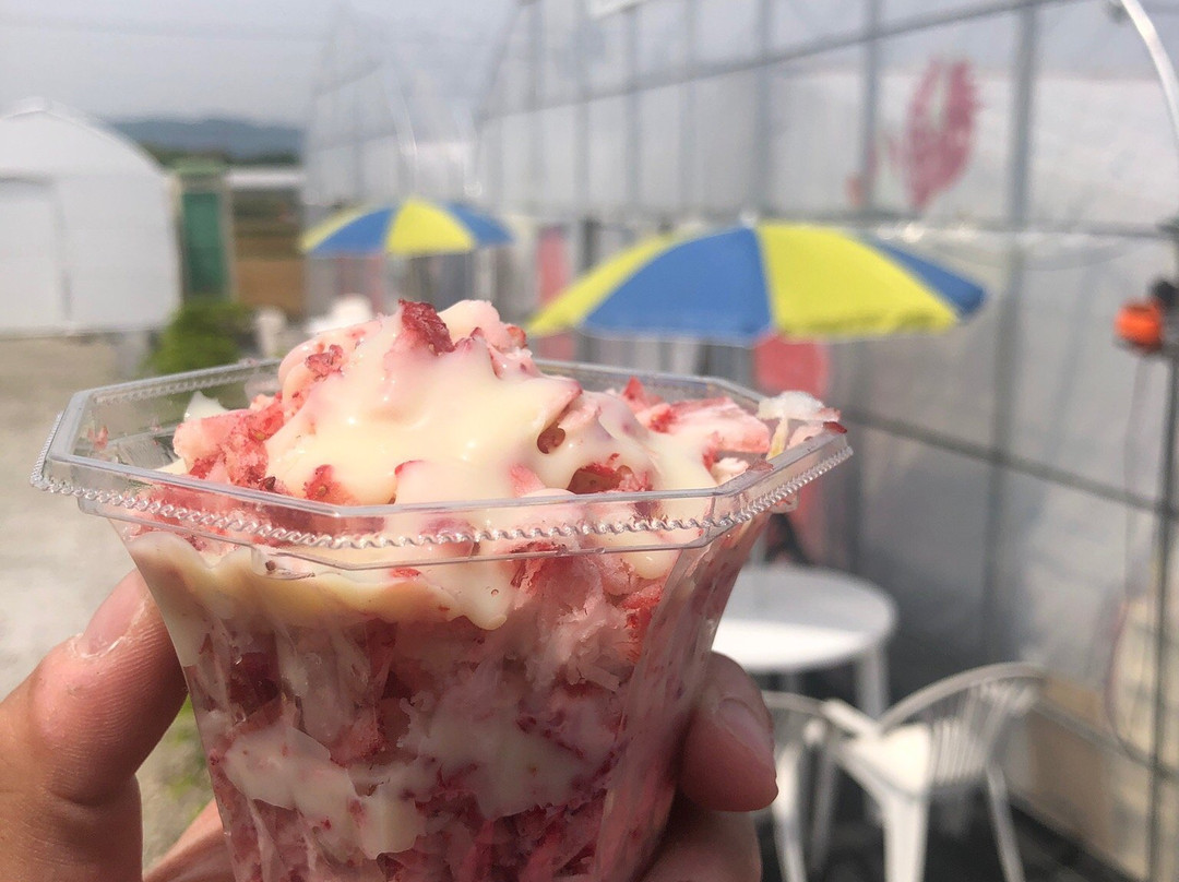 Takano Strawberry Farm-龙王町必去景点