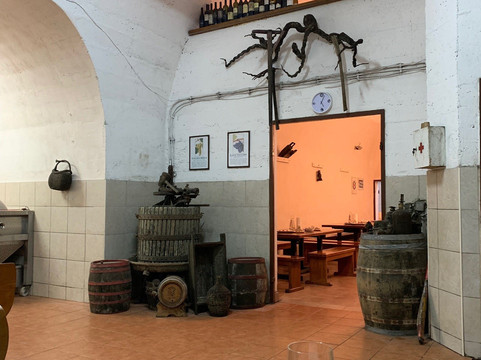 Vis Special Tours-维斯必去景点