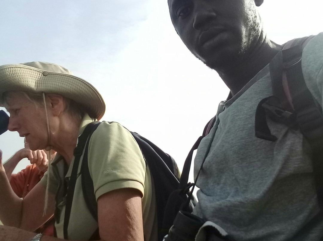 Gambian Bird Guide Ansuman Drammeh -  Best Boy Tours景点图片