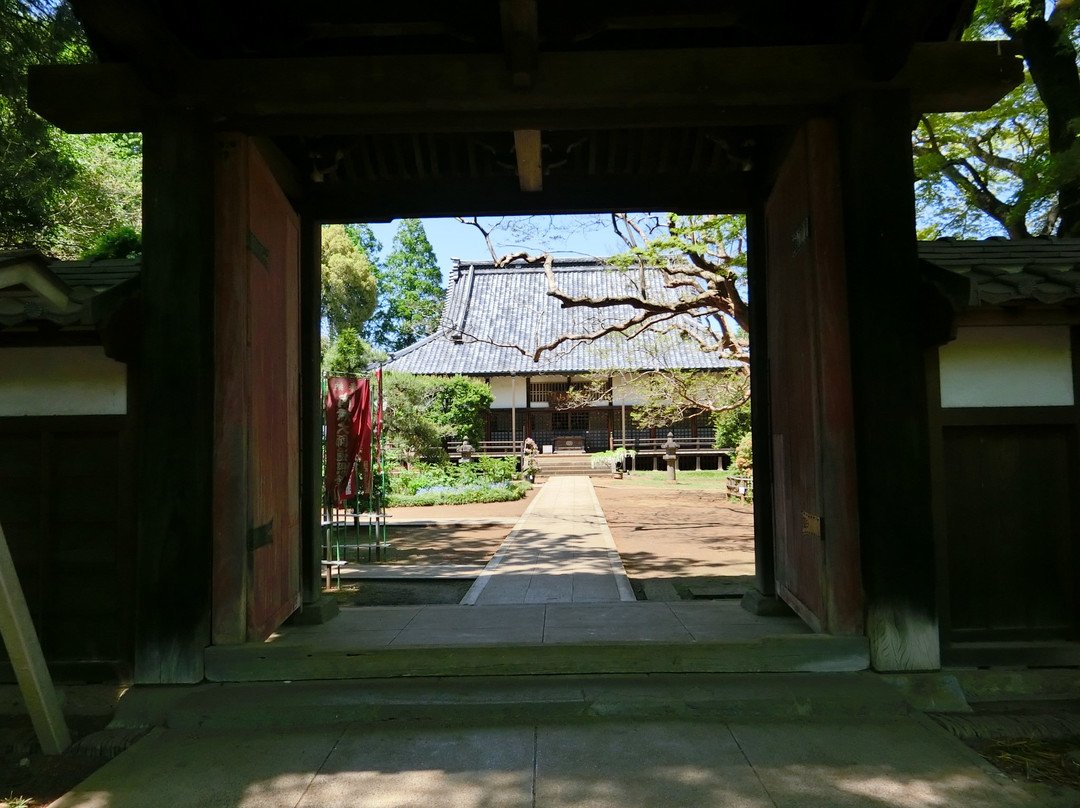 Konjo-in Temple-野田市必去景点