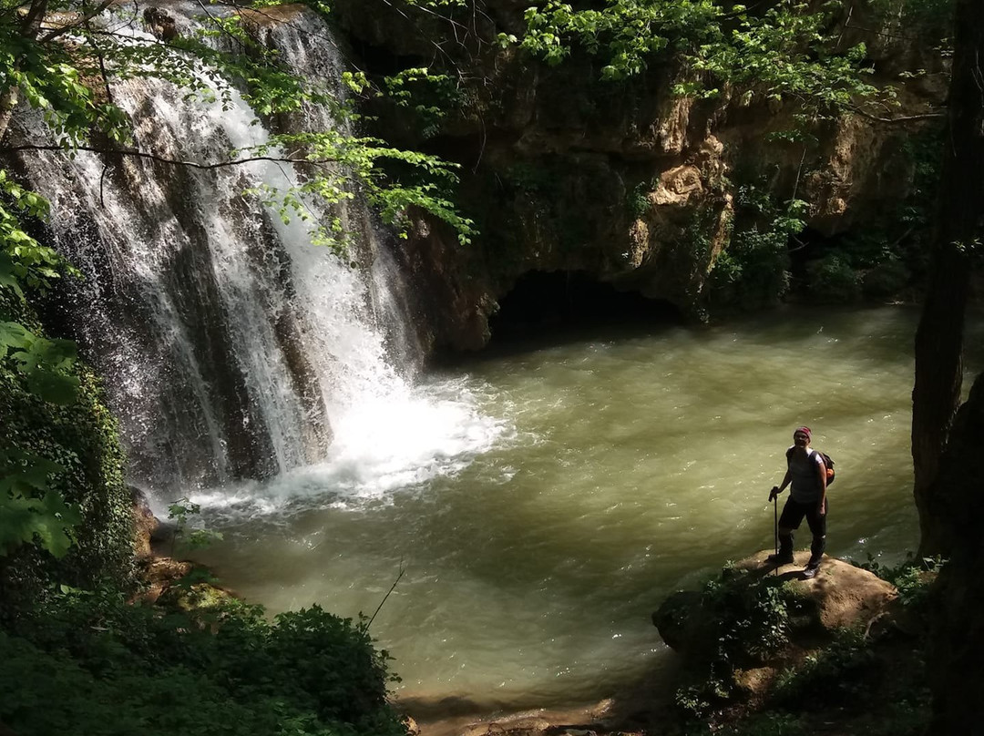 Blederija Waterfall景点图片
