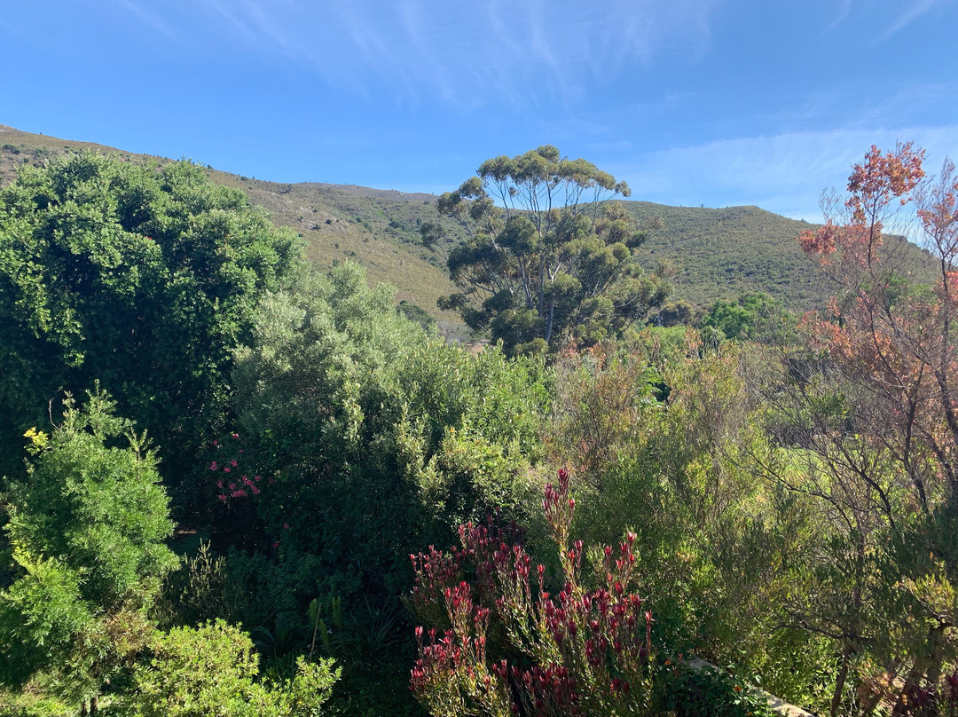 Robin's Nest Guest House主图