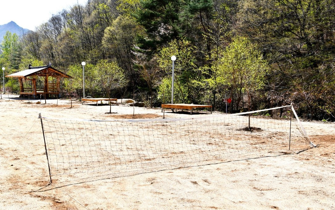 The Starry Night Pension&Camping主图