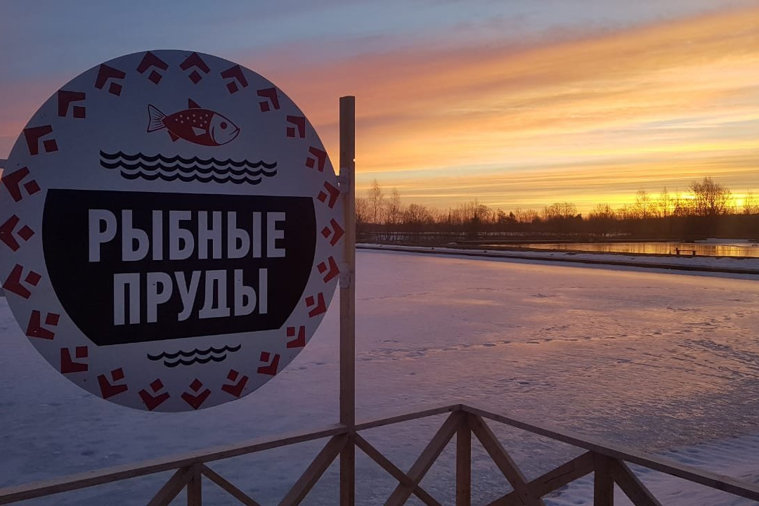 Innolovo旅游攻略图片