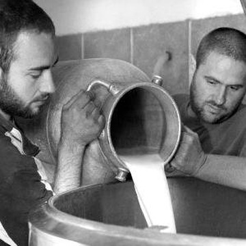 Azienda agricola Fior di Montalcino