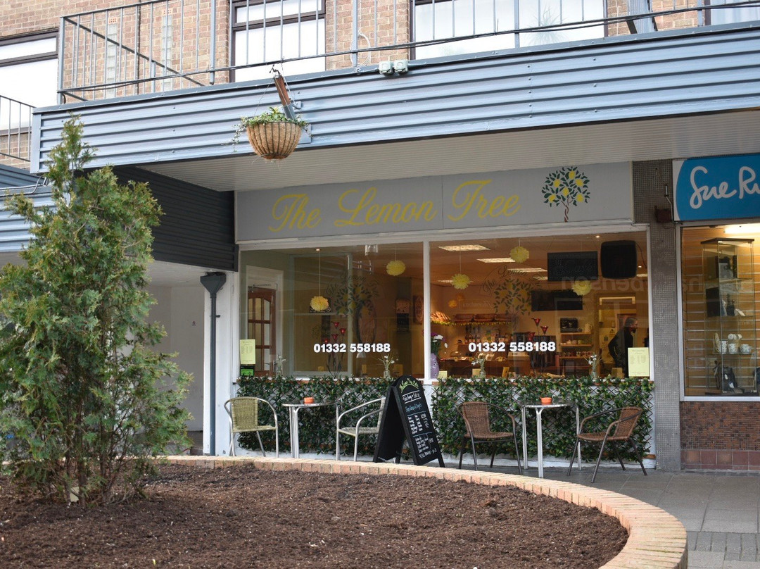 The Lemon Tree主图