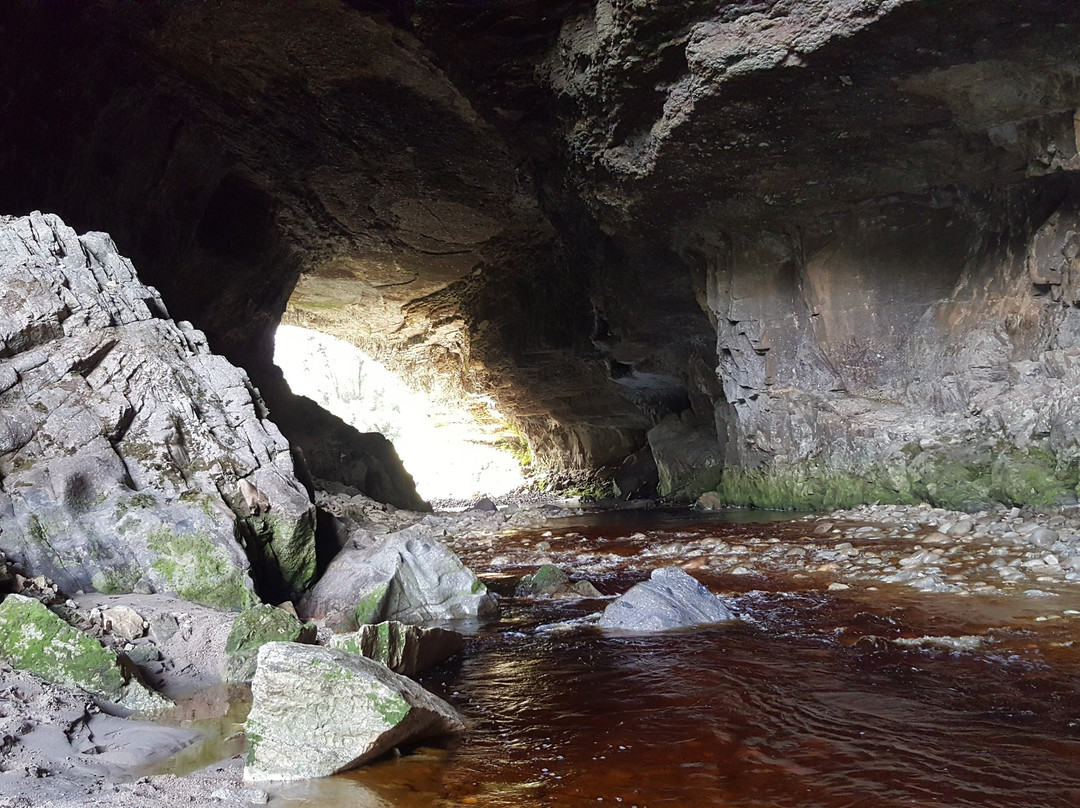 Oparara Basin Walking Tracks景点图片
