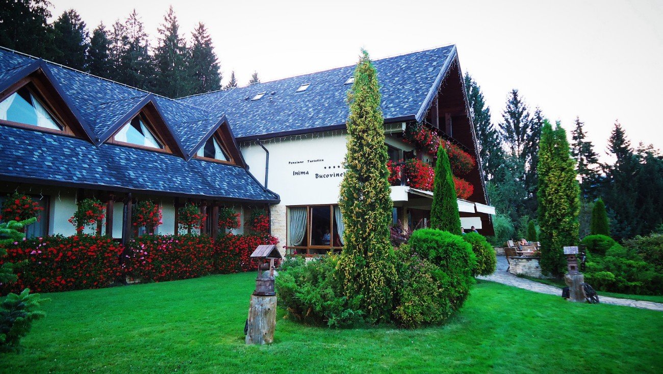 Inima Bucovinei-官方