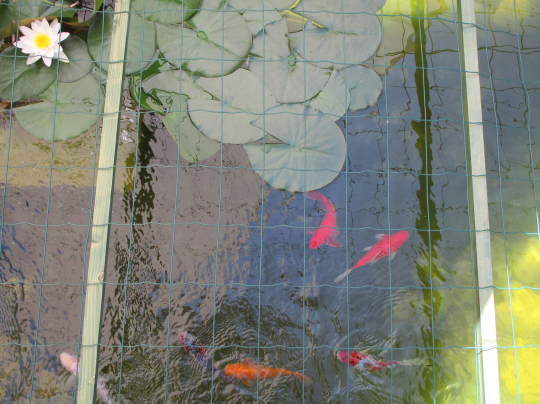 Casa Dos Torres主图