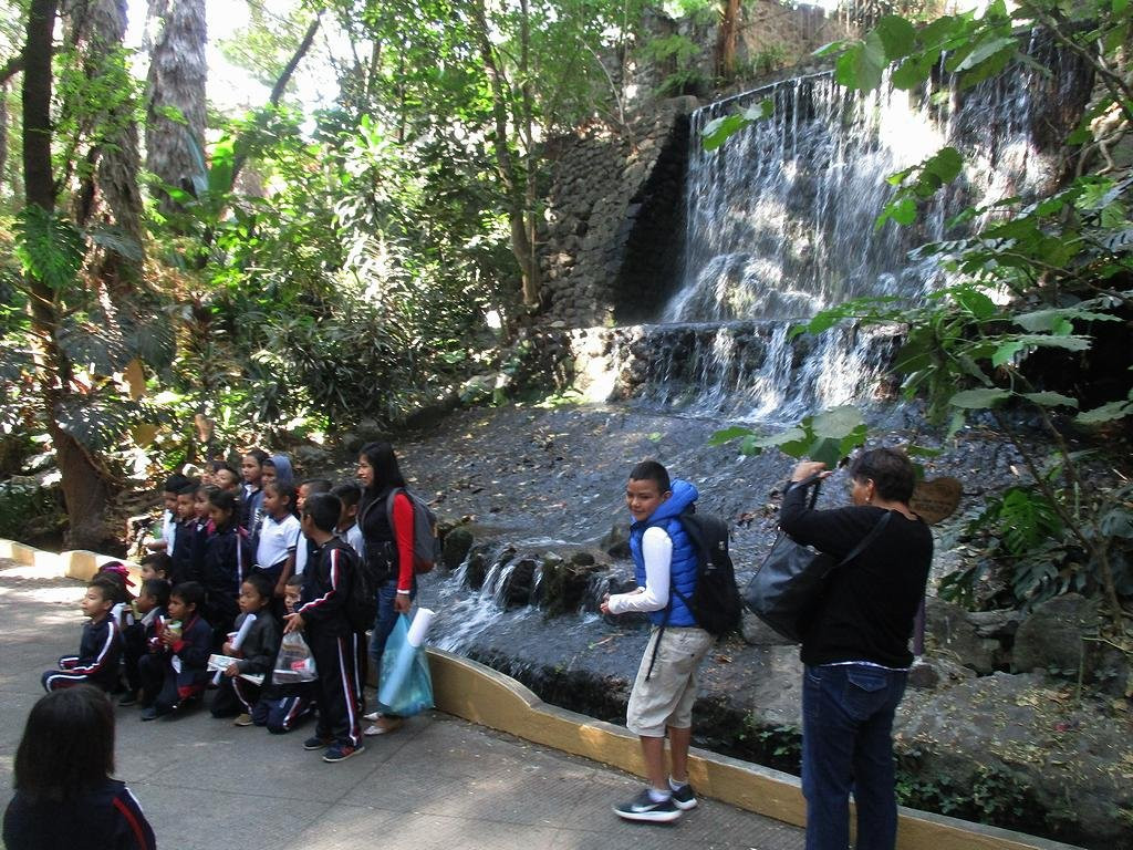 Parque Barranca Chapultepec景点图片
