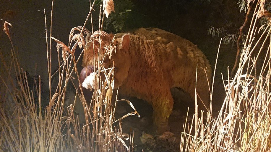 Naracoorte旅游景点-Wonambi Fossil Centre