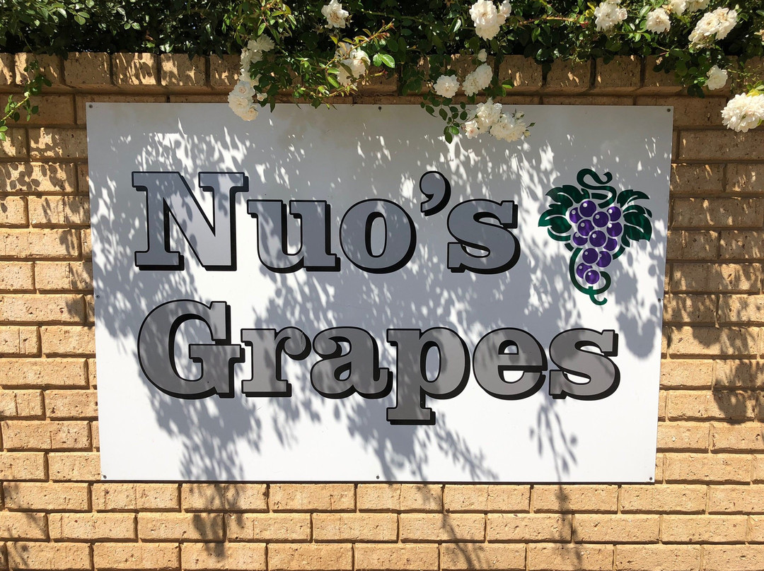 Nuo’s Grapes景点图片