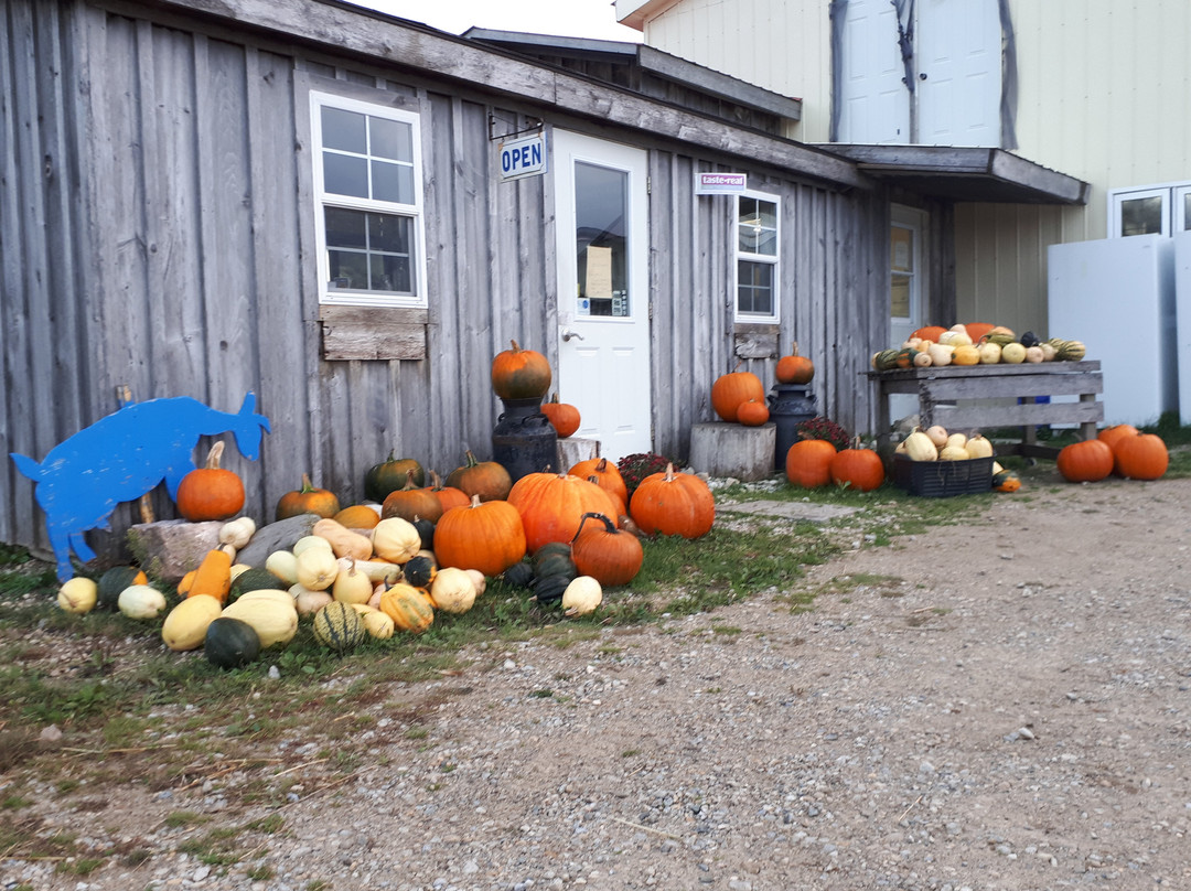 River's Edge Goat Dairy-Arthur必去景点