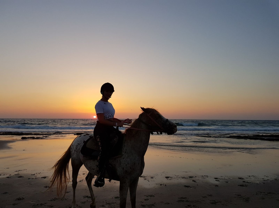 Cactus Ranch-Hadera必去景点