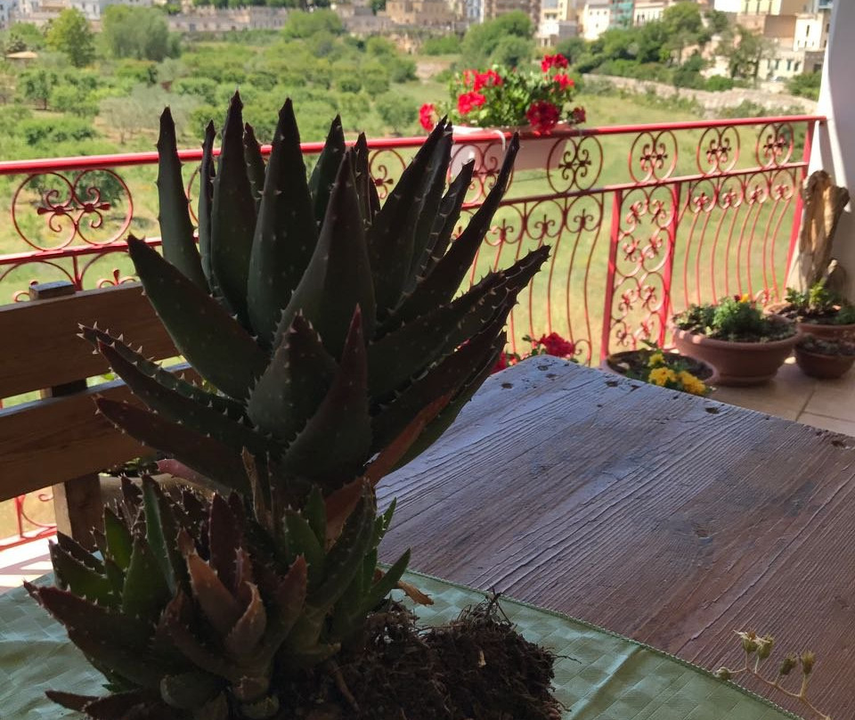 B & B Le Terrazze Lama Balice主图