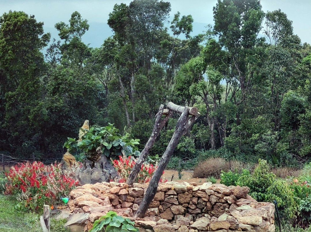 Shola Heights