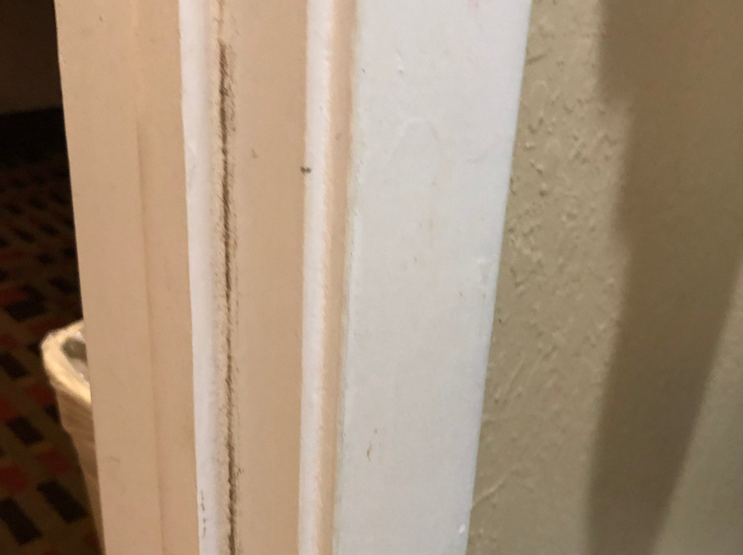 Rodeway Inn Sun City Center主图