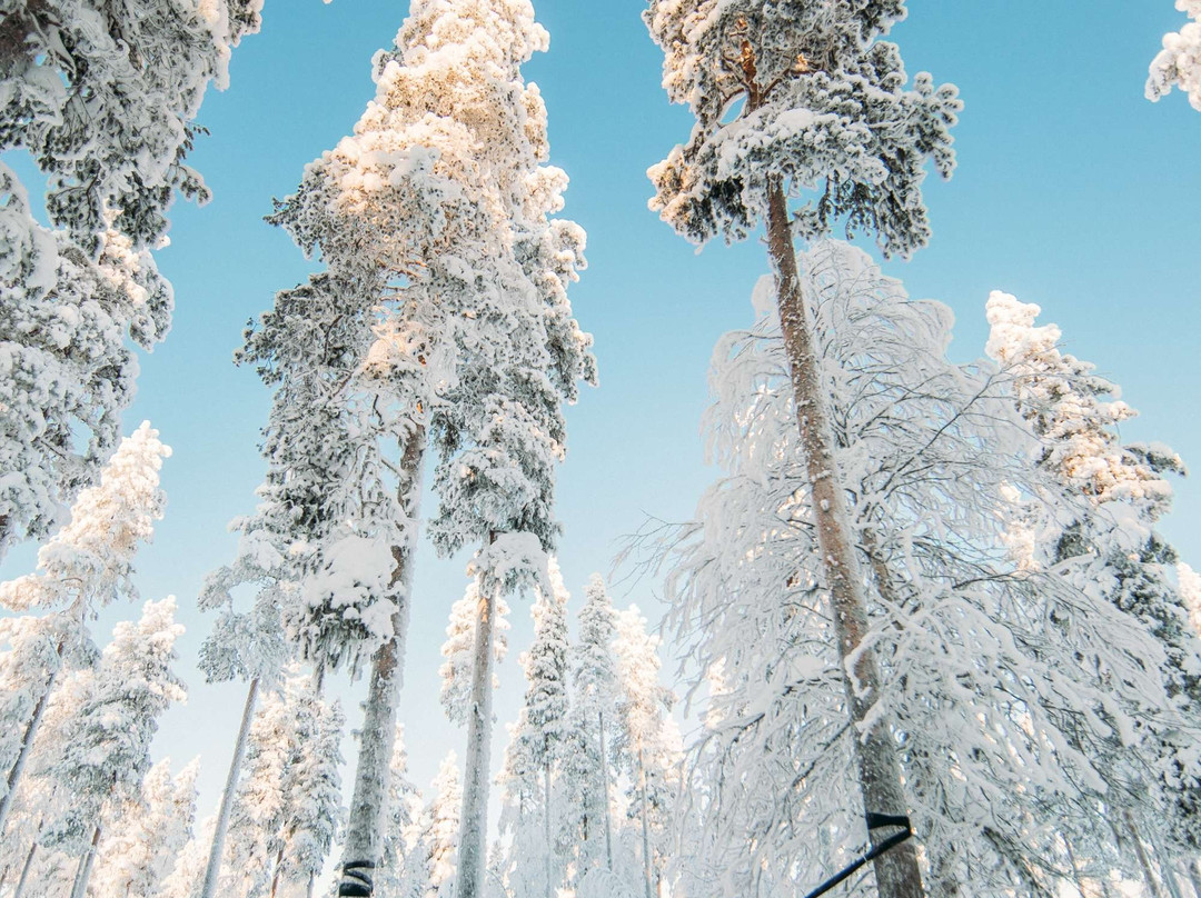 HaliPuu-Levi必去景点
