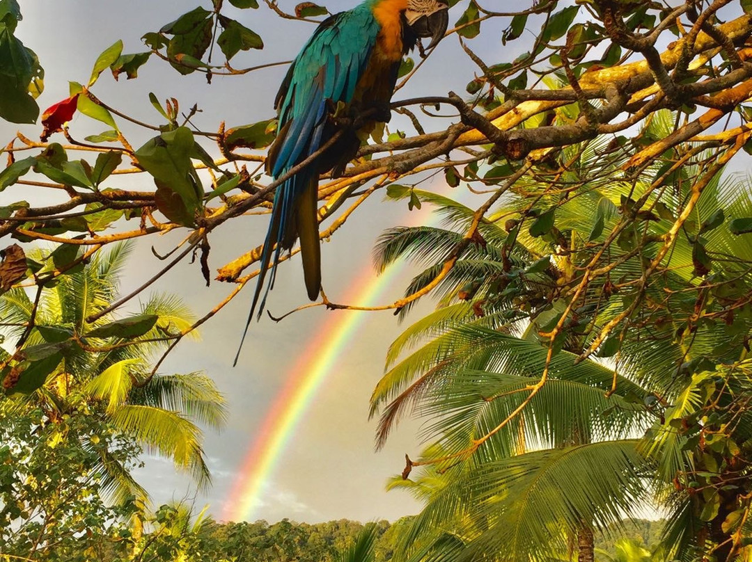 Jardín Botánico del Pacifico-Bahia Solano必去景点