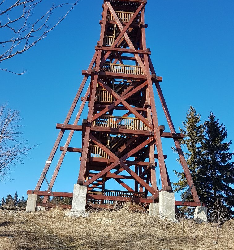 Lookout tower Na Skalce Holcovice-Mesto Albrechtice必去景点