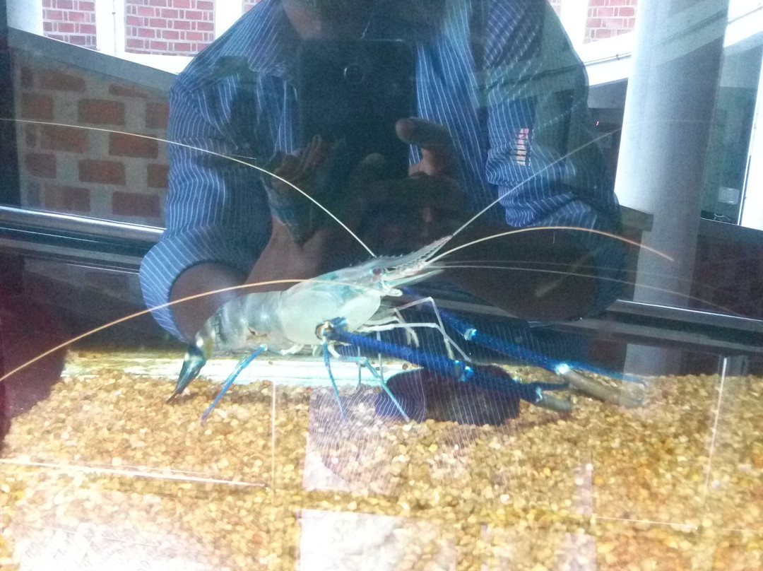 Varkala Aquarium-瓦卡拉必去景点