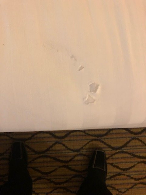 Holiday Inn Clark - Newark Area By IHG主图