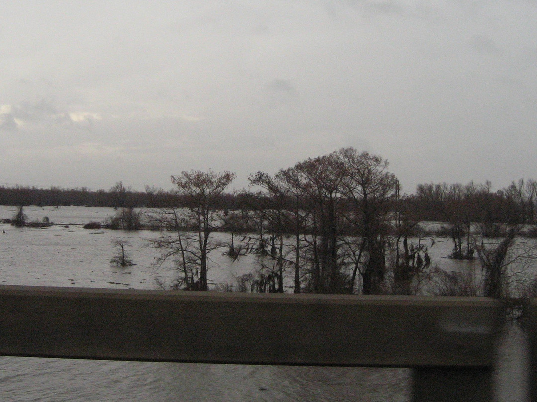 Atchafalaya Basin Bridge-巴吞鲁日必去景点