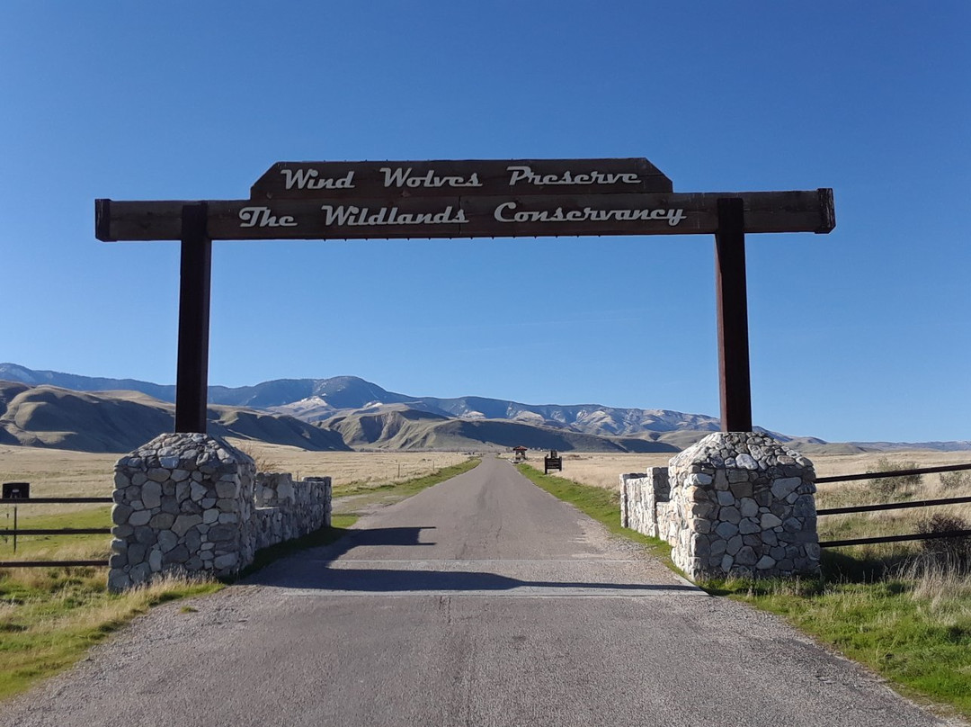 Wind Wolves Preserve-贝克斯菲尔德必去景点