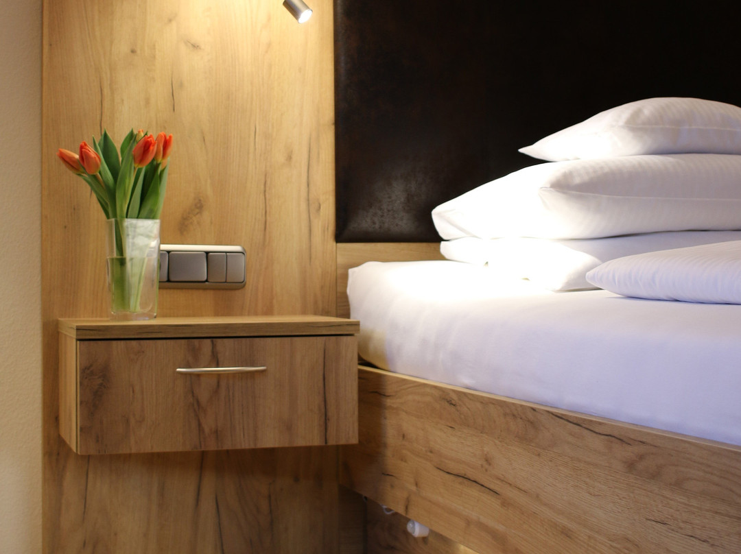 Sonnenhügel Hotel & Restaurant主图