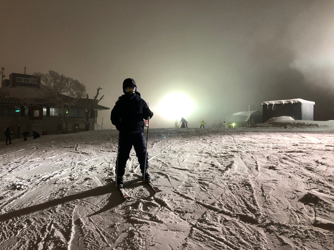 二世古安努普里国际滑雪场景点图片
