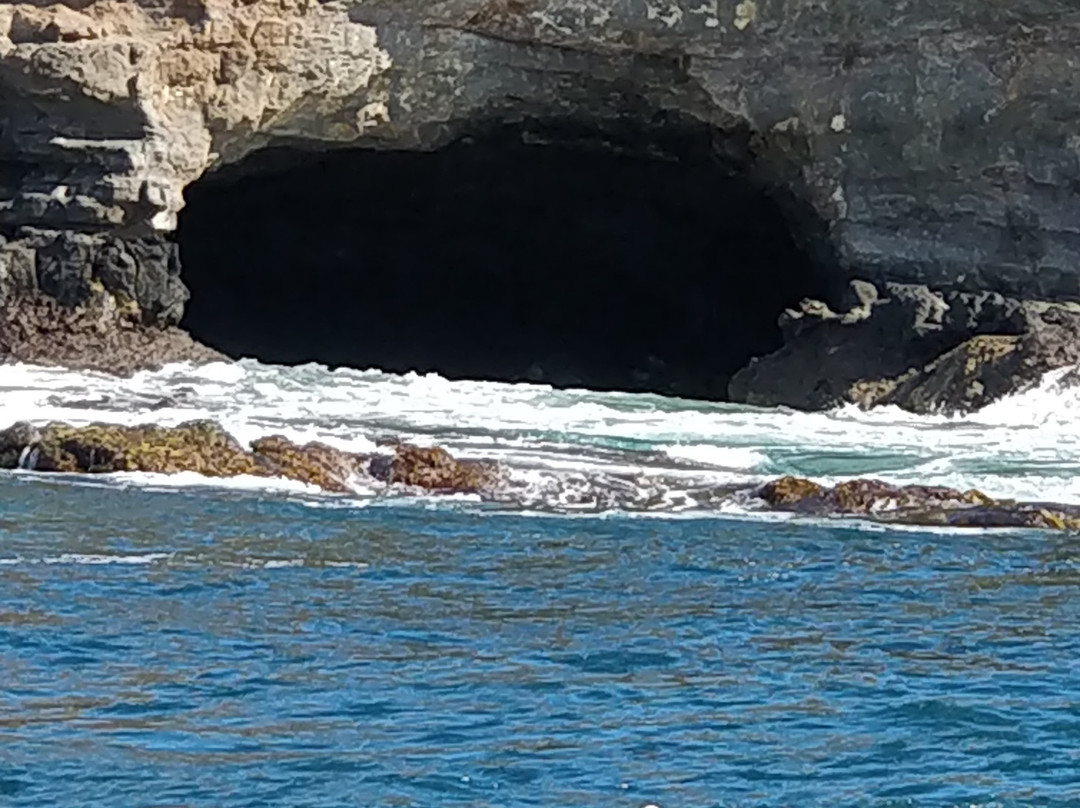 Phillip Island Nature Parks-考斯必去景点