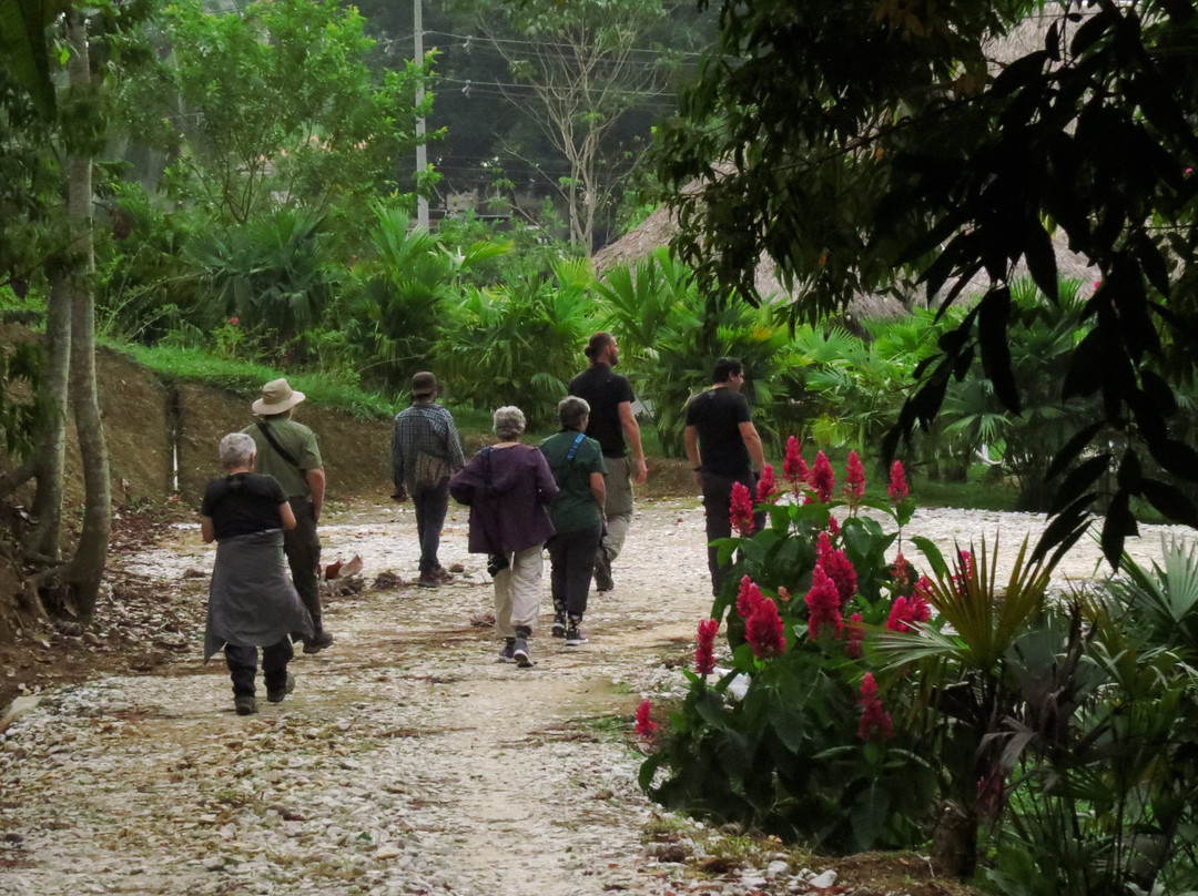 Los Colores Ecoparque主图