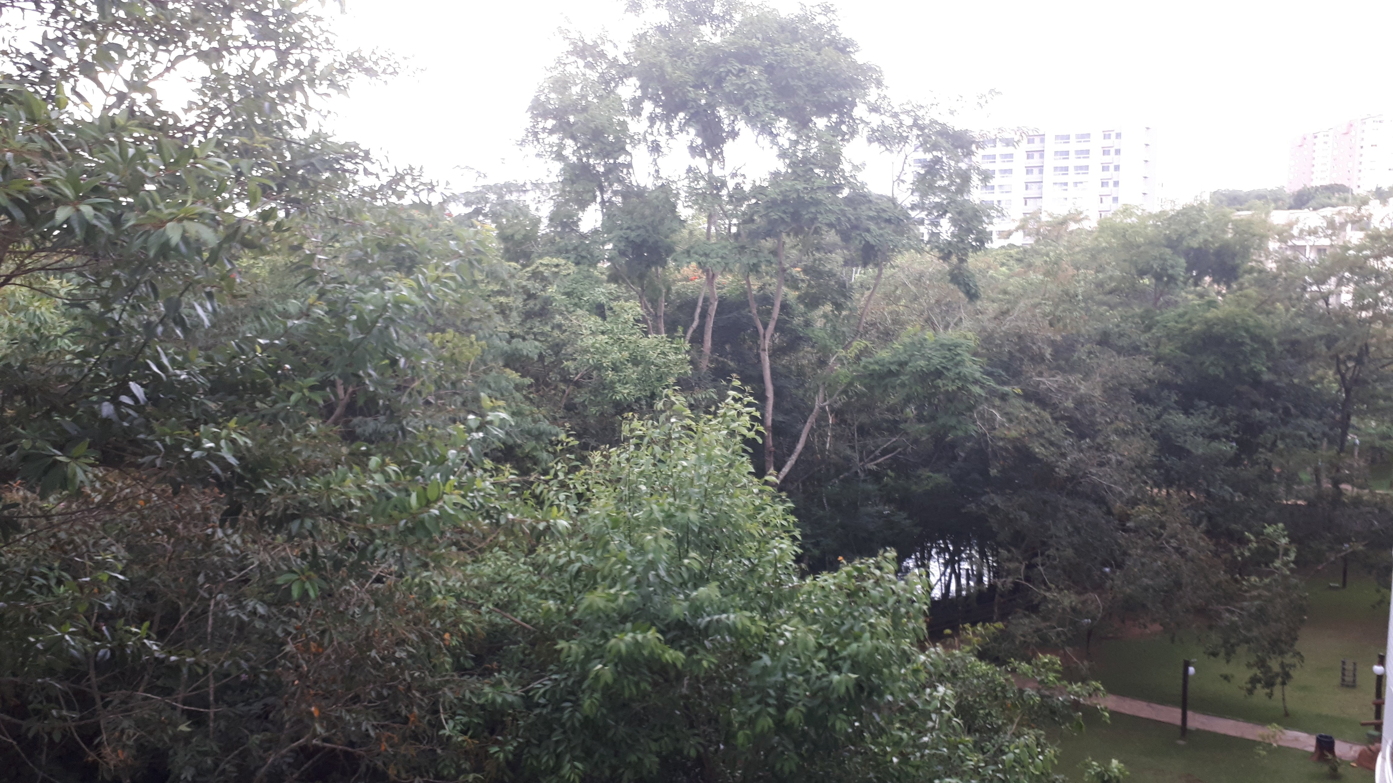 IMG Hotel Rio Quente-酒店景观