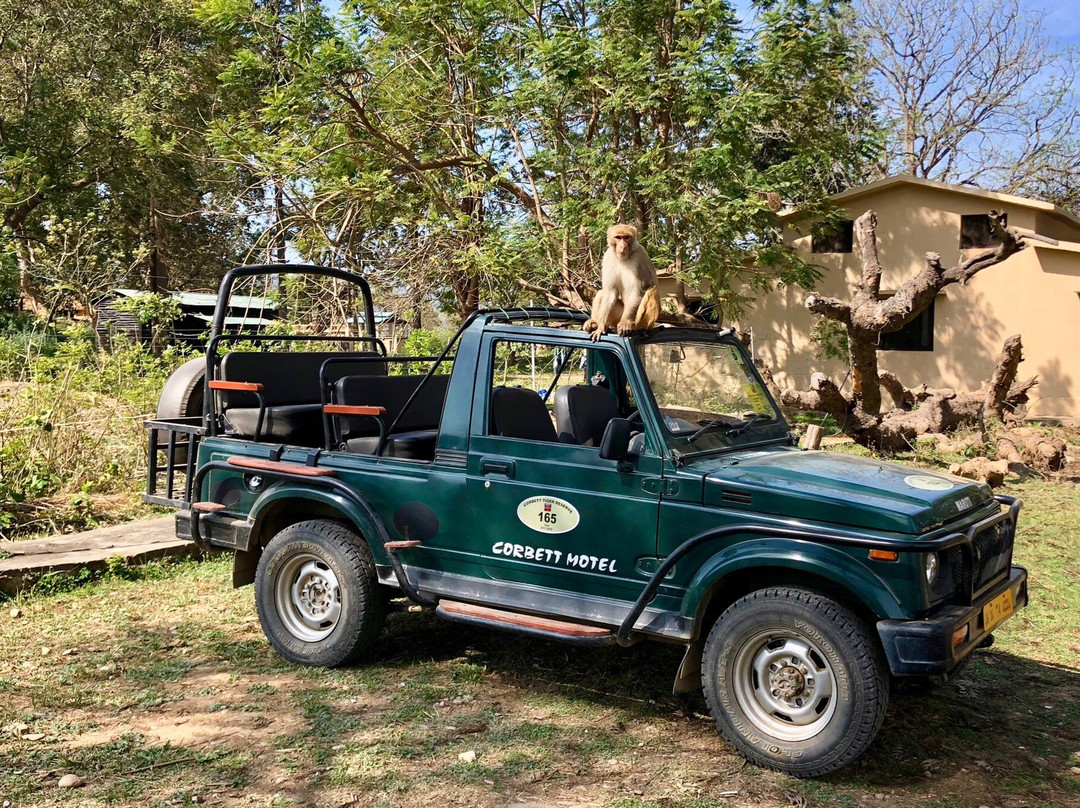 Corbett Jeep Safari景点图片