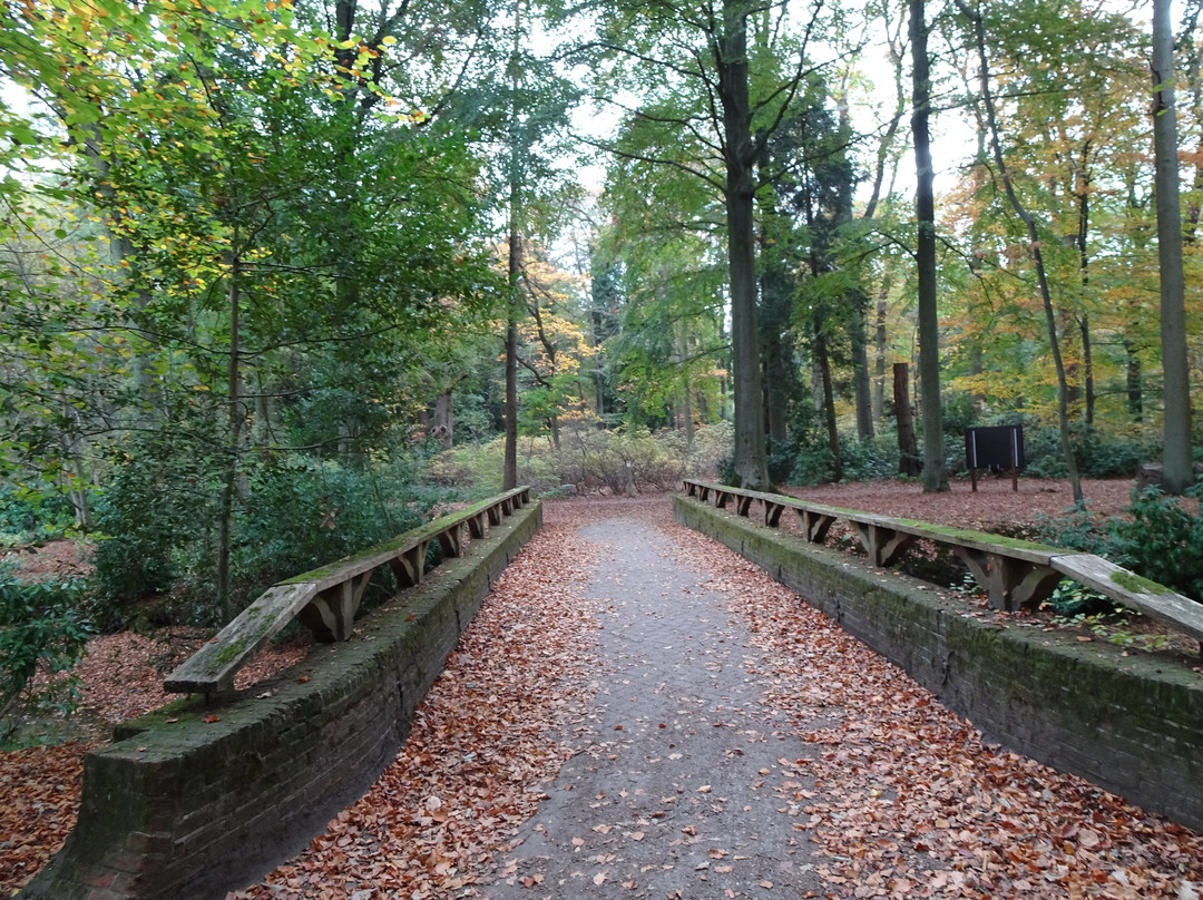 Kinderboerderij Mikerf-布拉斯哈特必去景点
