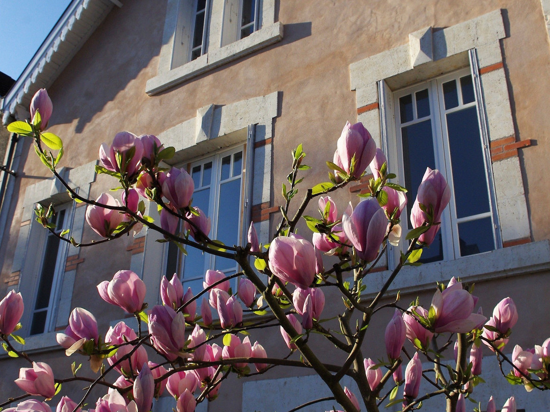 Chambres d'Hotes Couleurs du Temps主图