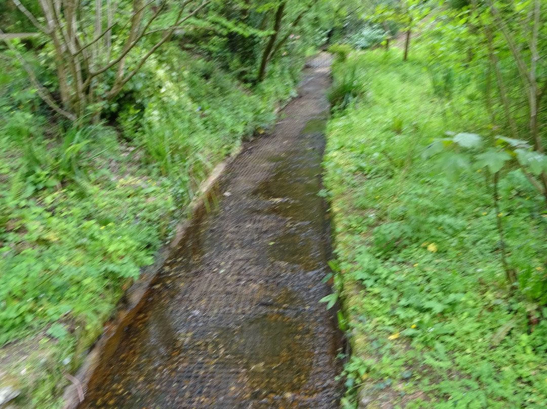 The Glen-Honiton必去景点