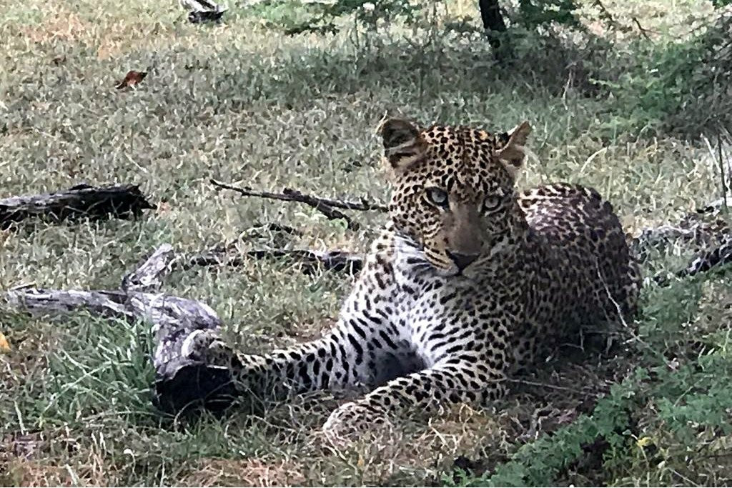 Halisi African Adventures-Dar es Salaam必去景点