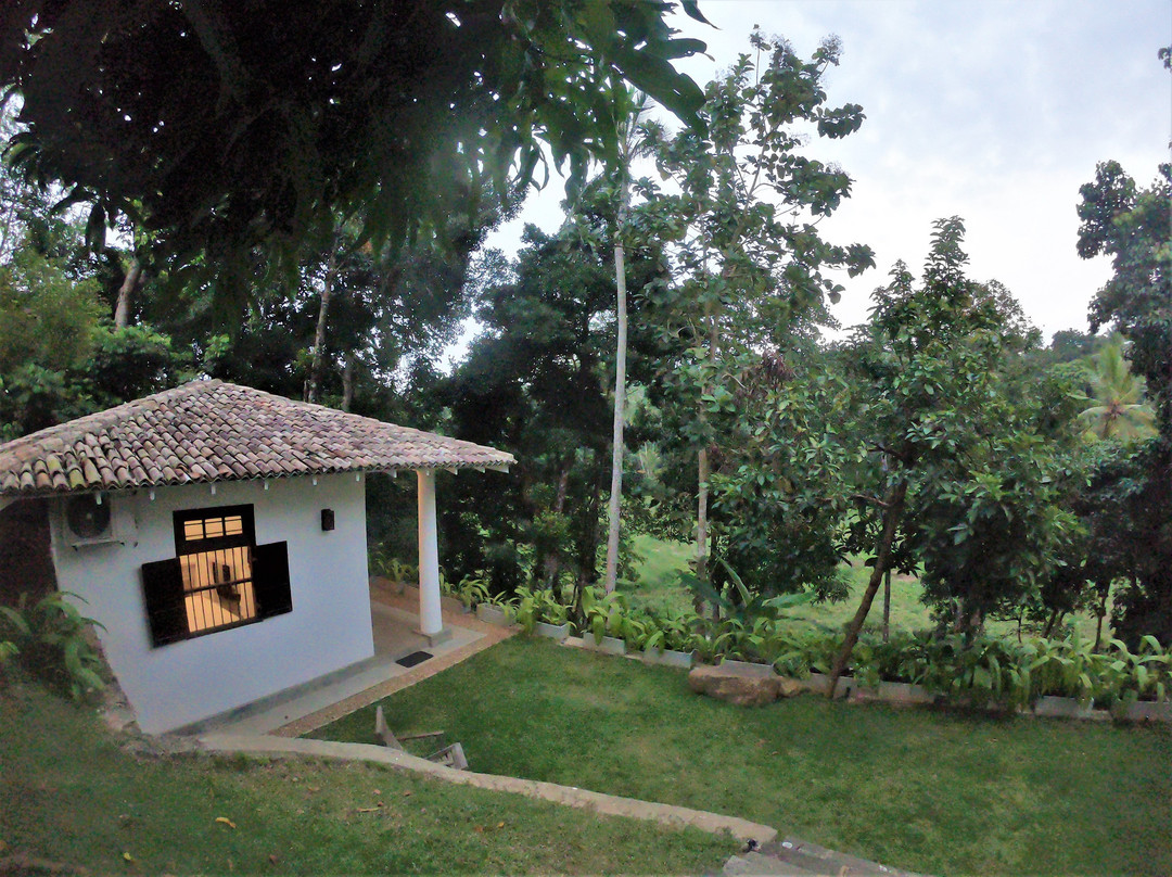 The Jungle Loft主图