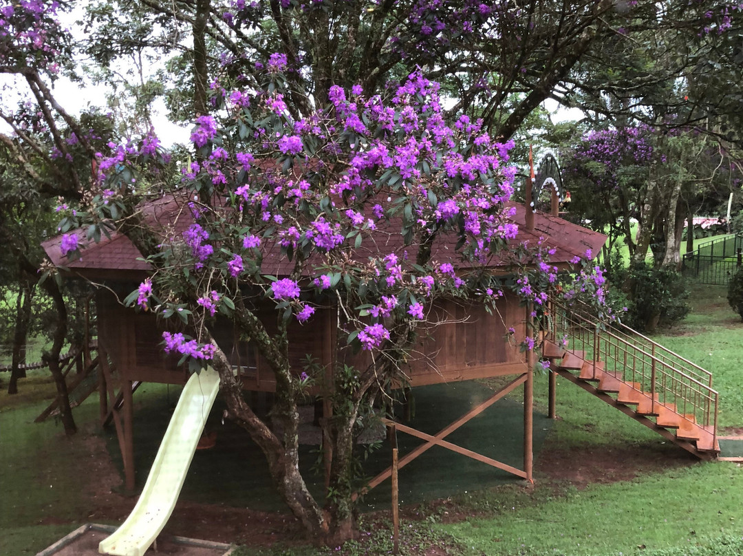 Hotel Pousada do Bosque主图