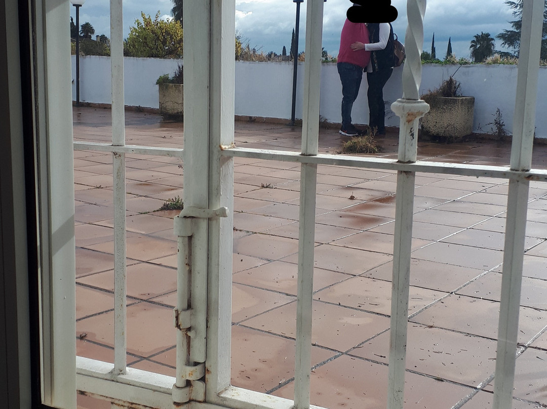 欧洲之星阿德尔法斯酒店主图