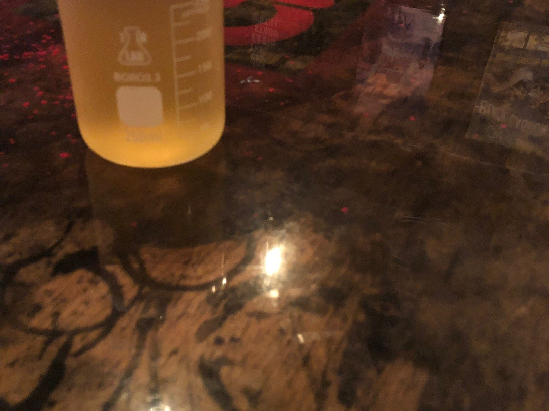 Grindhaus Brew Lab-克利尔沃特必去景点