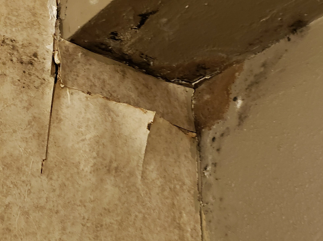 TownHouse Hotel Grand Forks主图