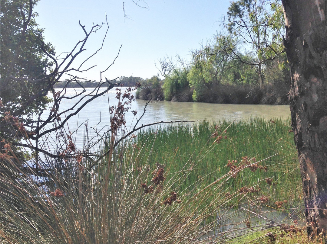 Boort旅游景点-Lake Boort